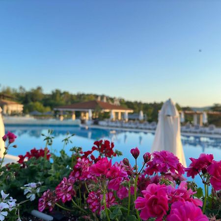 Sm Lovely Apartments On The First Line In Sozopol Exterior photo