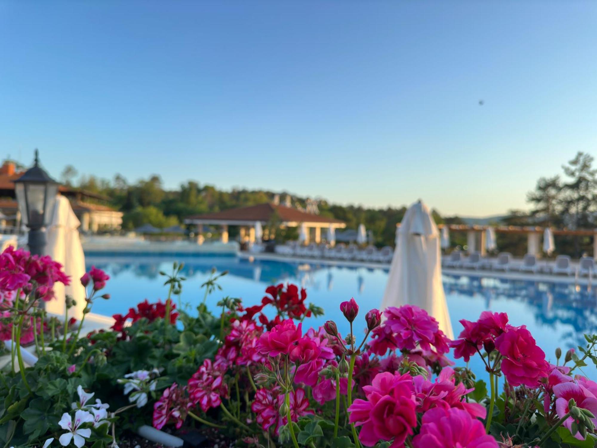 Sm Lovely Apartments On The First Line In Sozopol Exterior photo
